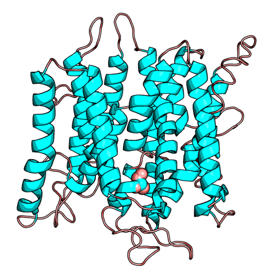 Human SLC45A2 highlighting the Alanine 477